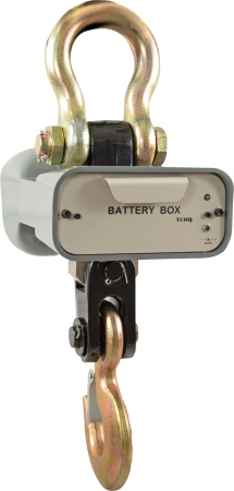 Весы CAS 1 THA (Caston 1) купить по низкой цене | МАКСПРОФИТ